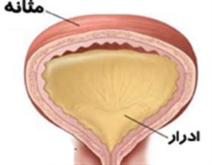 مرکز طب اسلامی