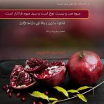اهمیت میوه انار از دیدگاه ب اسلامی